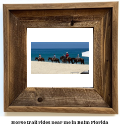 horse trail rides near me in Balm, Florida